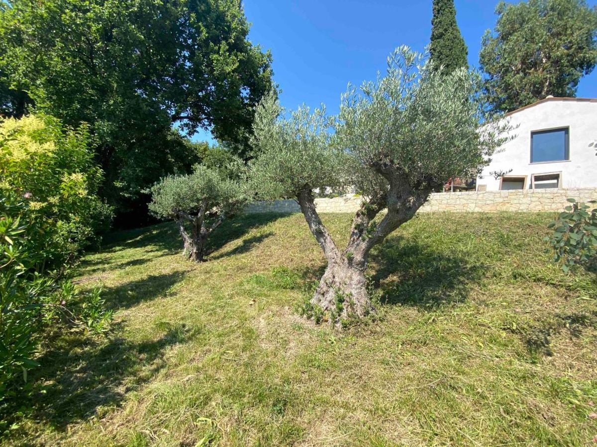 A Casa Bianca Otel Saint-Paul-de-Vence Dış mekan fotoğraf