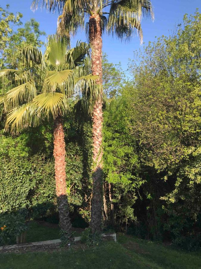 A Casa Bianca Otel Saint-Paul-de-Vence Dış mekan fotoğraf